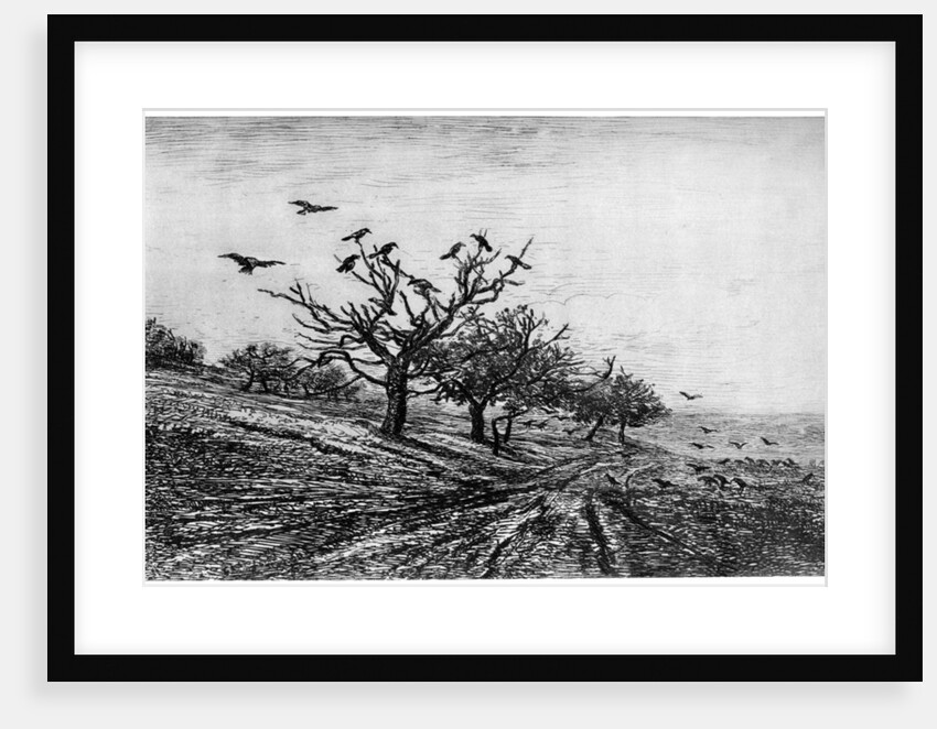 Arbre a Corbeaux by Charles François Daubigny