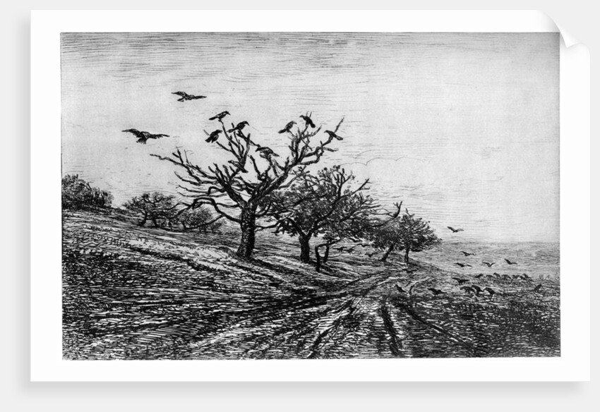 Arbre a Corbeaux by Charles François Daubigny