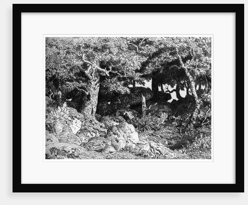 'Les Chenes de Roche', c1832- 1860 by Theodore Rousseau