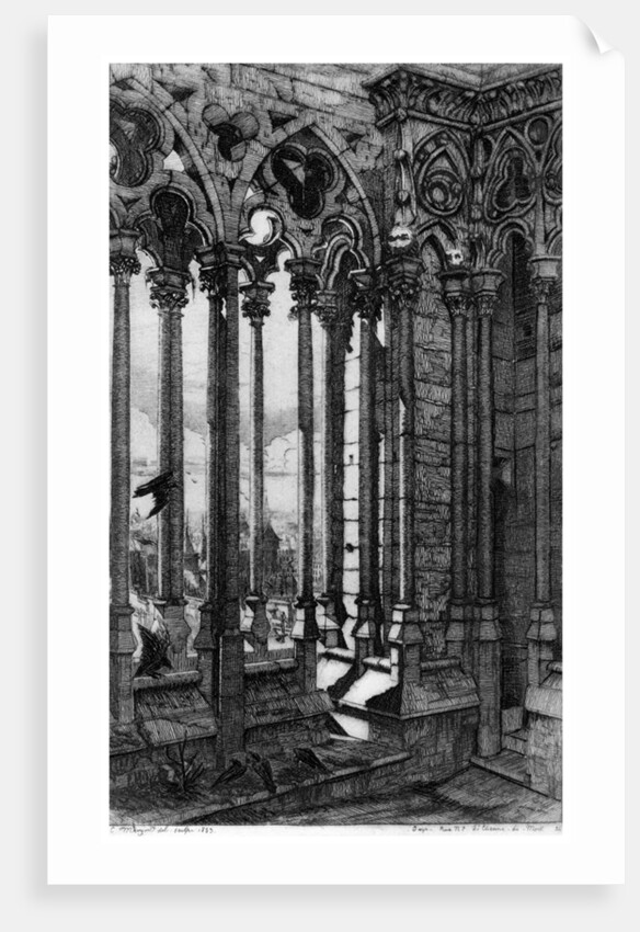 La Galerie Notre-Dame by Charles Meryon