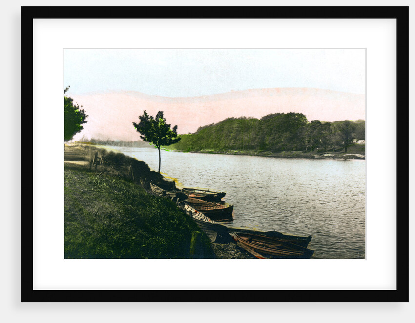 The River Tyne at Hexham, Northumberland by Cavenders Ltd