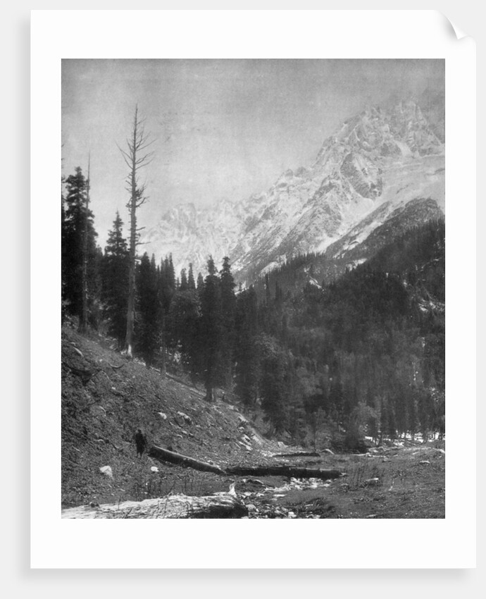 Sindh Valley glaciers, Kashmir, India by F Bremner