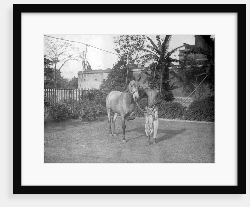 Man with a horse, Alipore, India by FL Peters