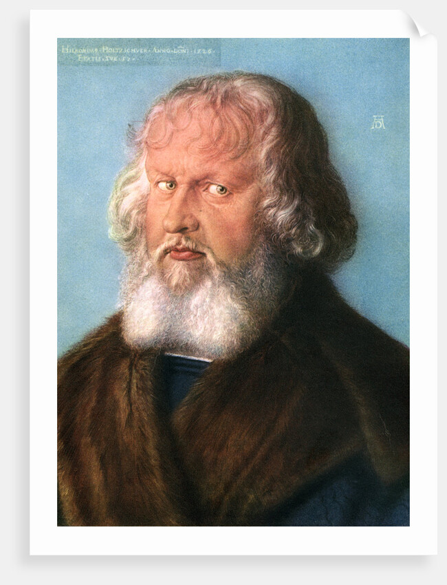 Hieronymus Holzschuher by Albrecht Dürer