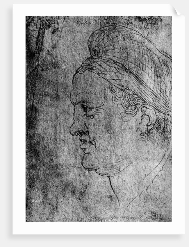 Willibald Pirckheimer by Albrecht Dürer