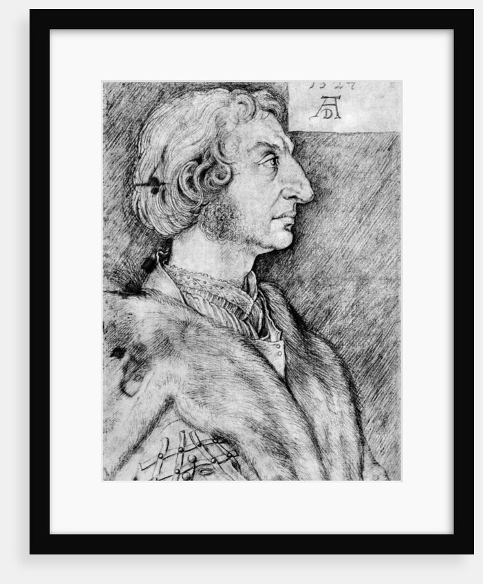 Ulrich Starck by Albrecht Dürer