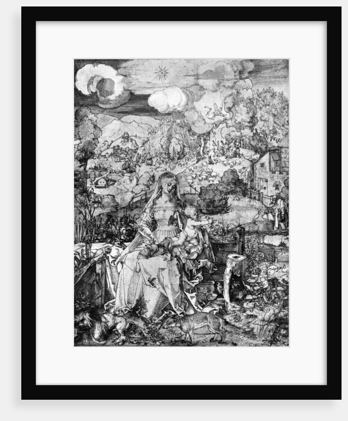 The Virgin and many animals by Albrecht Dürer