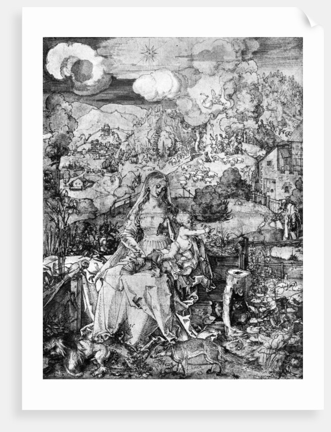 The Virgin and many animals by Albrecht Dürer