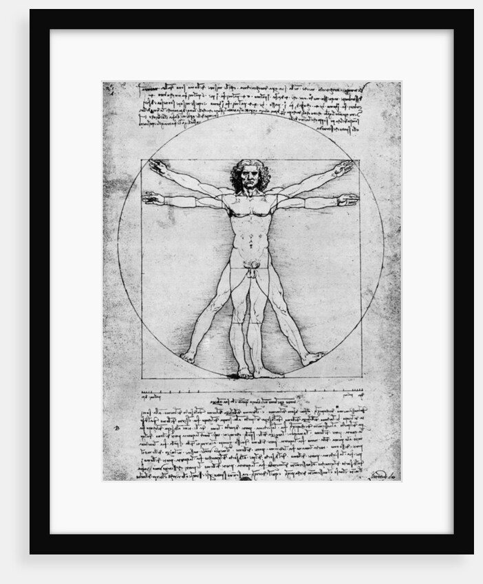 Proportions of the human figure by Albrecht Dürer