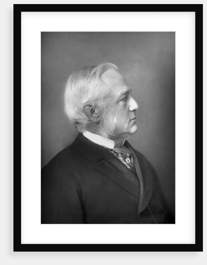 Professor Max Müller (1823-1900), German philologist and Orientalist by W&D Downey