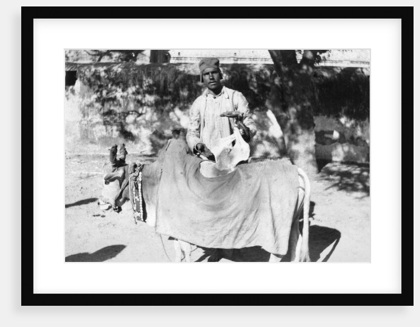 Man with a deformed cow, India by Anonymous