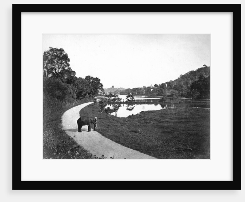 Kandy Lake, Kandy, Sri Lanka by Anonymous