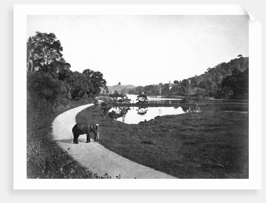 Kandy Lake, Kandy, Sri Lanka by Anonymous