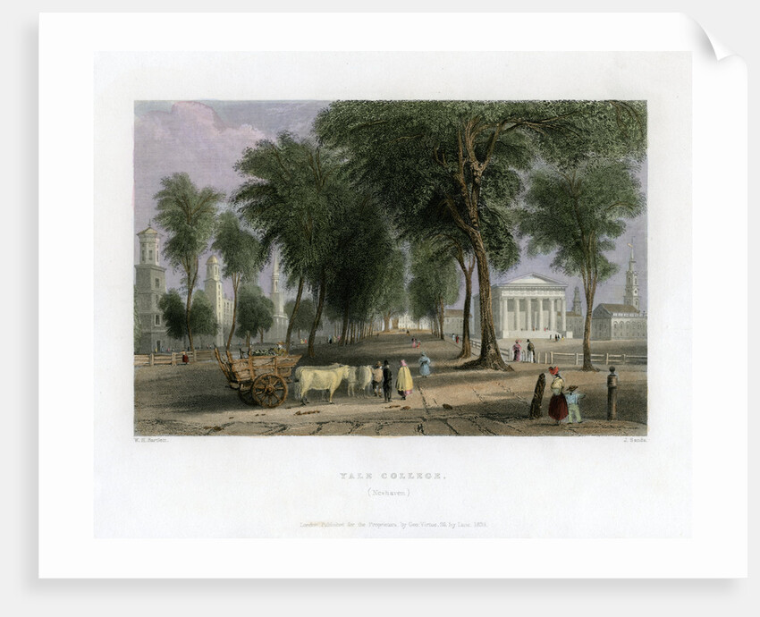 Yale College, New Haven, Connecticut, USA by J Sands