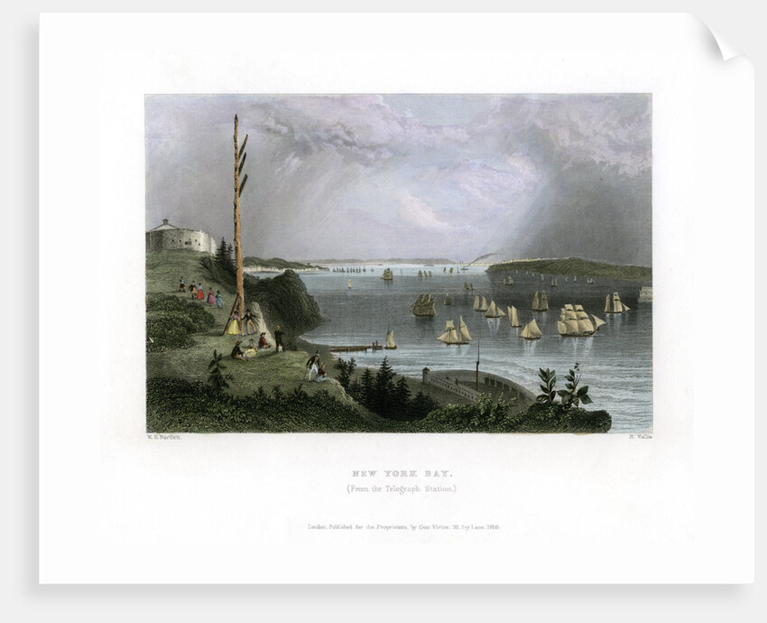 New York Bay as seen from the Telegraph Station, USA by R Wallis