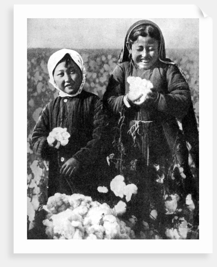Girls in a cotton field, Kazakhstan by Anonymous