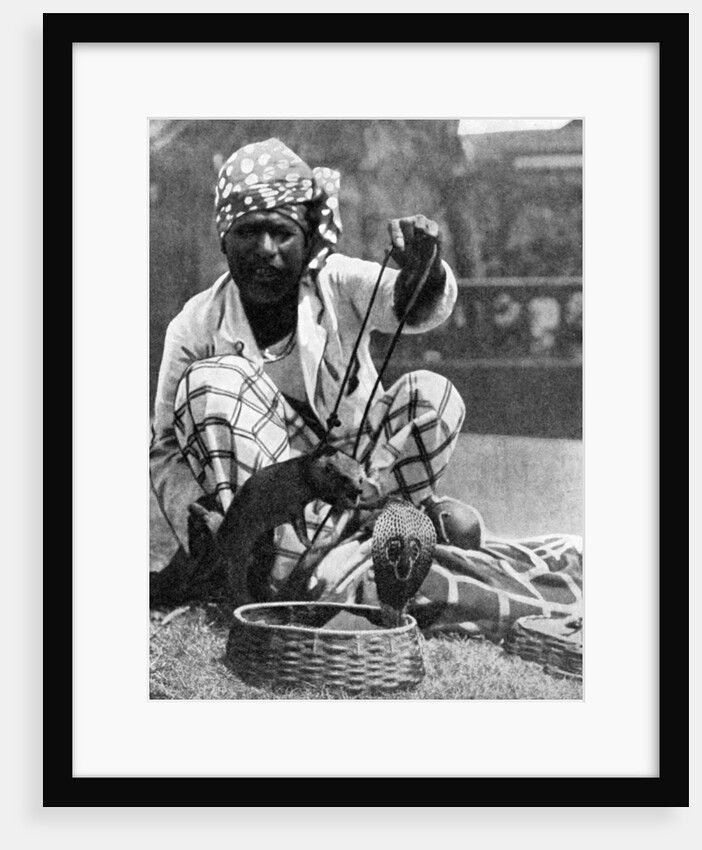 Indian snake charmer with mongoose and cobra by Fox