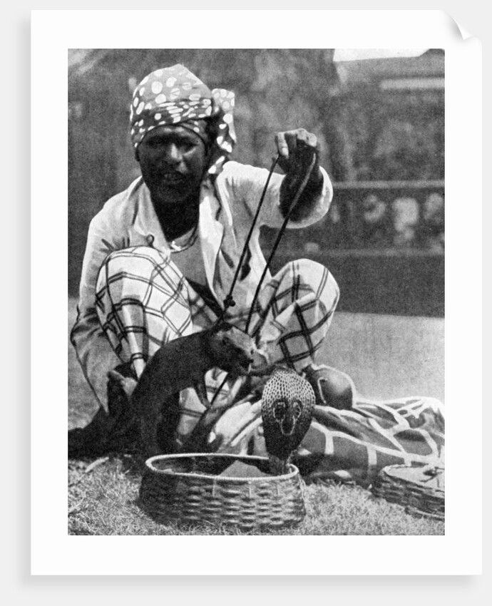 Indian snake charmer with mongoose and cobra by Fox