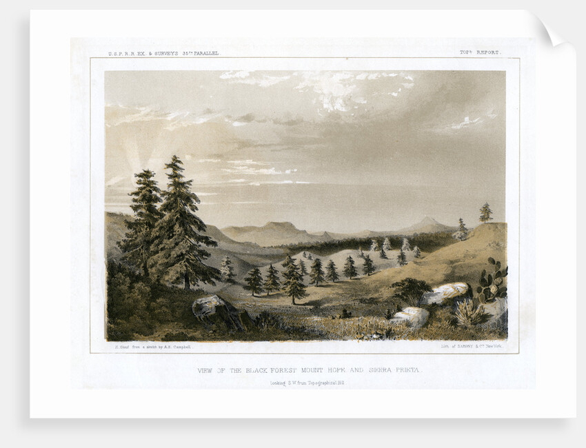 The Black Forest Mount Hope and Sierra Prieta, USA by E Stout