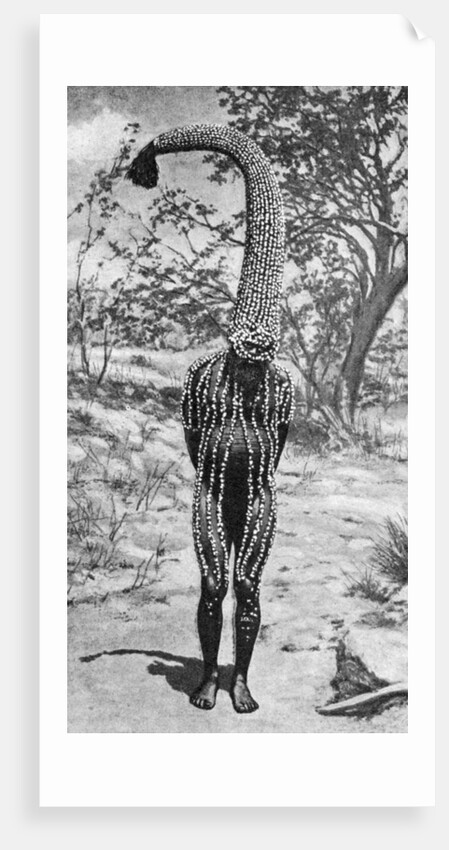 An emu man performing the sacred totem of his group, Australia by Spencer and Gillen