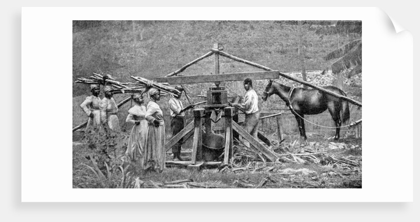 A wooden, horse-powered suger cane crushing mill, West Indies by Anonymous