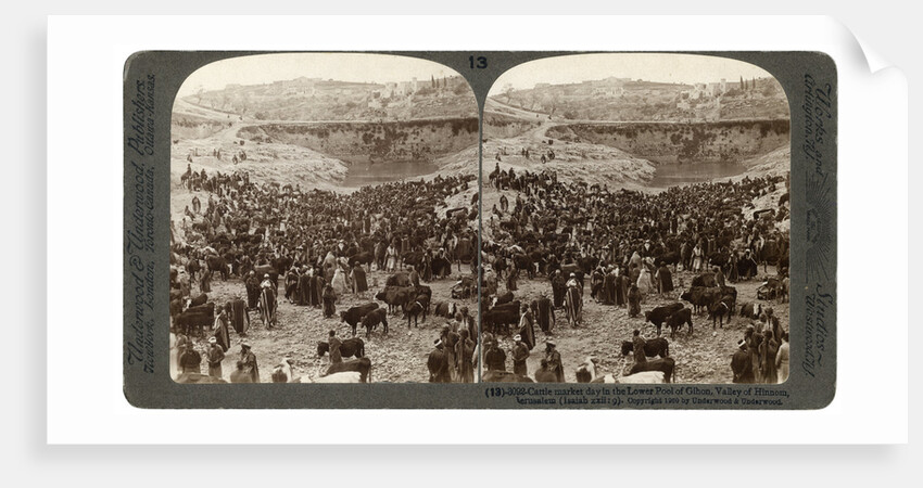 Cattle market day, in the lower pool of Gihon, Valley of Hinnom, Jerusalem, Palestine by Underwood & Underwood