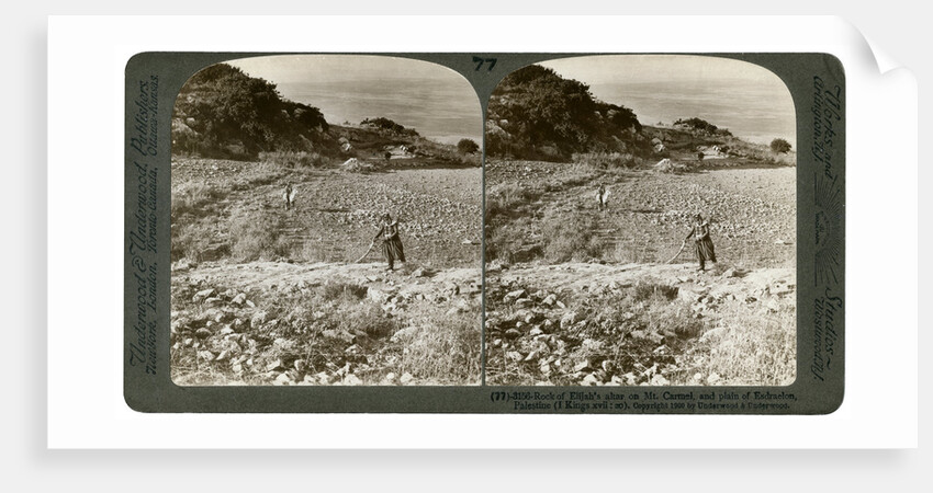 The rock of Elijah's Altar on Mount Carmel, and the Plain of Esdraelon, Palestine by Underwood & Underwood