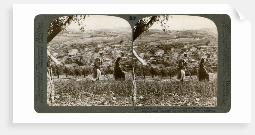 Bethany, as seen from the eastern slope of the Mount of Olives, Palestine by Underwood & Underwood