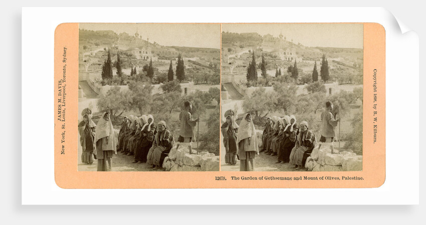 The garden of Gethsemane and the Mount of Olives, Palestine by BW Kilburn