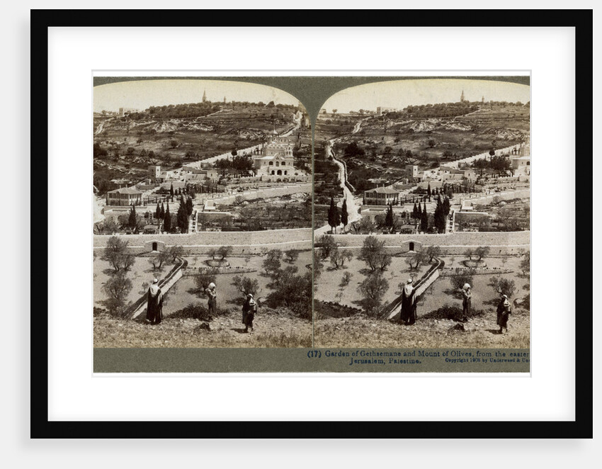 The Garden of Gethsemane and the Mount of Olives, Palestine by Underwood & Underwood