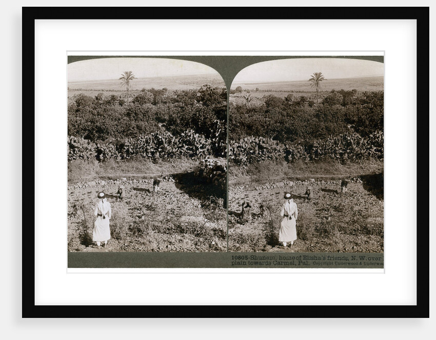 The north-west view from Shunem, across the Plain of Esdraelon, towards Carmel by Underwood & Underwood
