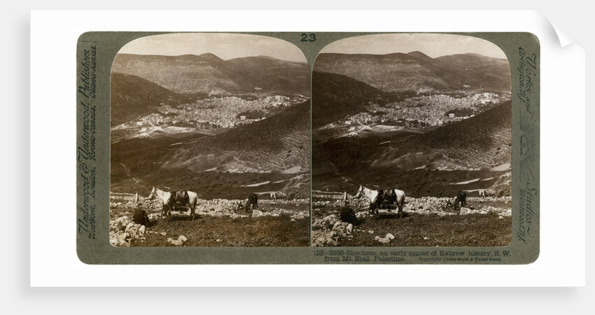 Shechem, south-west from Mount Ebal, Palestine by Underwood & Underwood