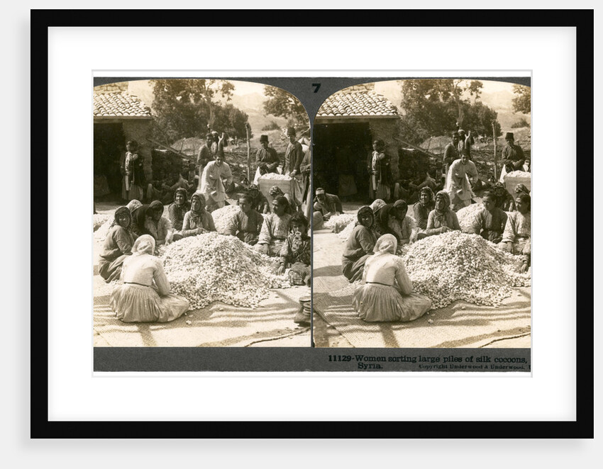 Women sorting large piles of silk cocoons, Antioch, Syria by Underwood & Underwood