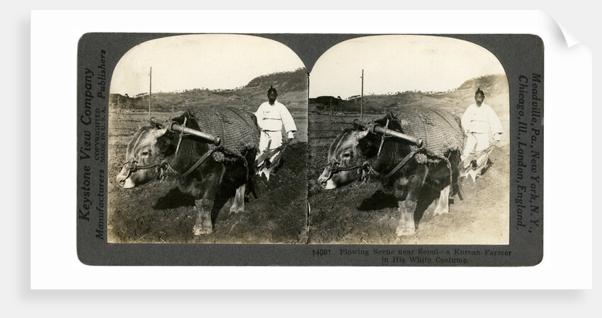 Farming near Seoul, South Korea by Keystone View Company
