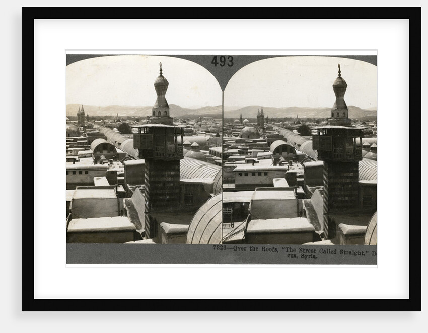 Damascus, Syria by Keystone View Company