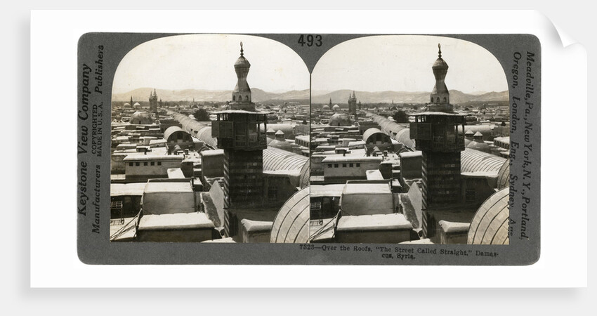 Damascus, Syria by Keystone View Company