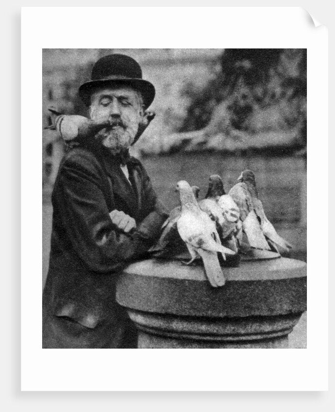 Pigeons of St Paul's with a vagrant, London by McLeish