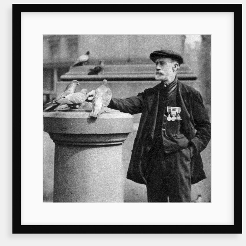 An old soldier with some pigeons, Trafalgar Square, London by McLeish