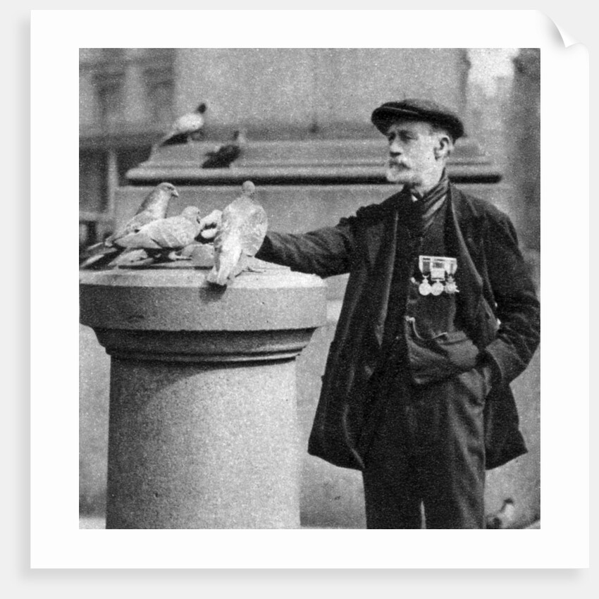 An old soldier with some pigeons, Trafalgar Square, London by McLeish
