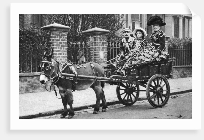 Pearly family in their donkey-drawn 'moke', London by McLeish