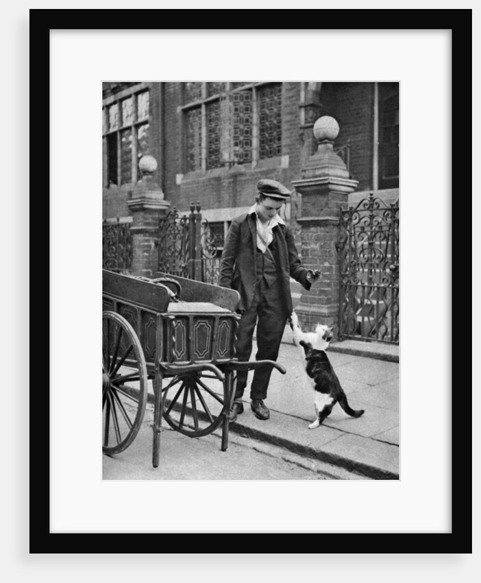 'Cat's meat man',  London by McLeish