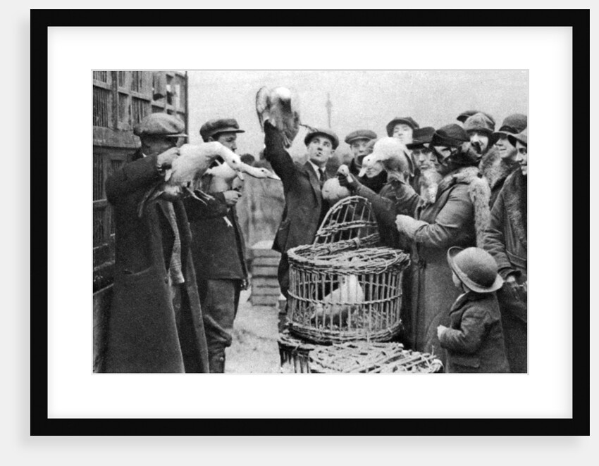 Poultry merchants, Caledonian Market, London by Anonymous