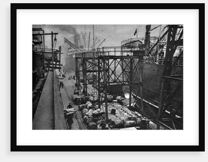 Merchant ships in the Royal Albert Dock, London by Anonymous