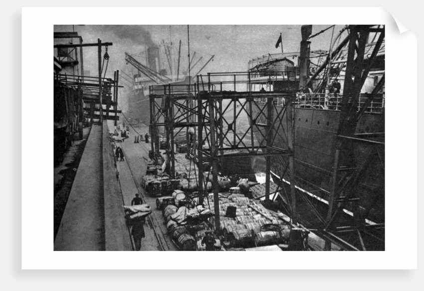 Merchant ships in the Royal Albert Dock, London by Anonymous