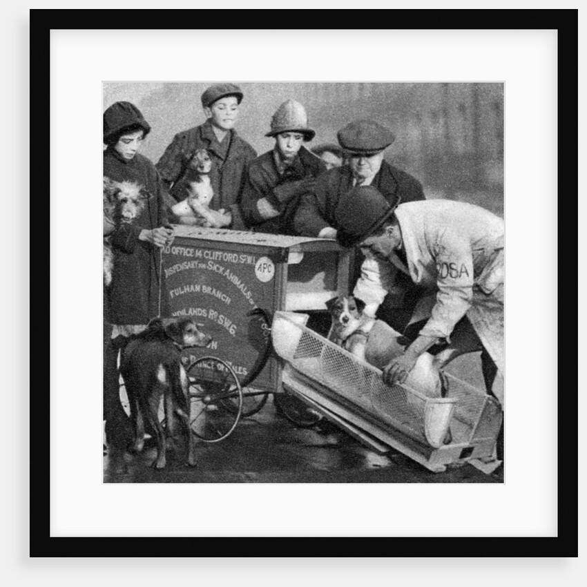 Ambulance of the Dispensary for Sick Animals of the Poor, London by Anonymous