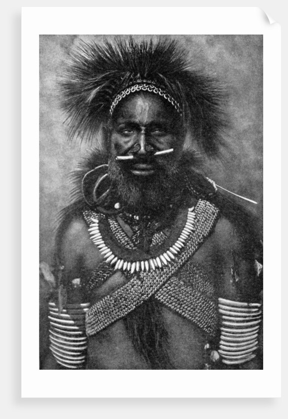 Captain of a company of cannibal fighting men, New Guinea by Anonymous