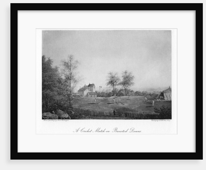 A cricket match on Bansted Downs, Surrey by Anonymous
