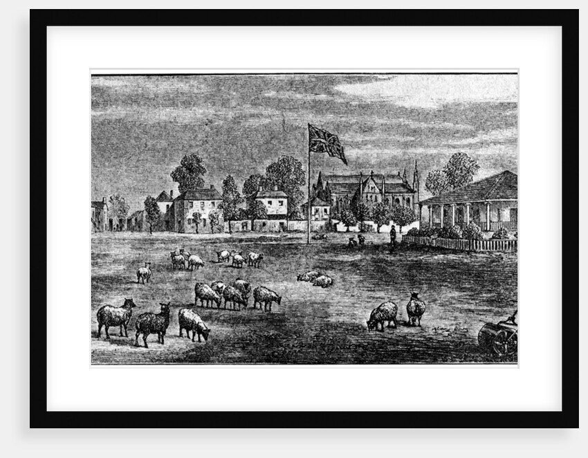 Lord's cricket ground, London by Anonymous