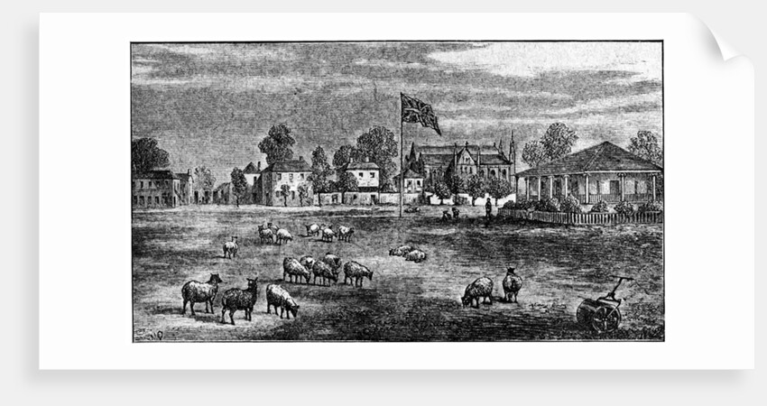 Lord's cricket ground, London by Anonymous