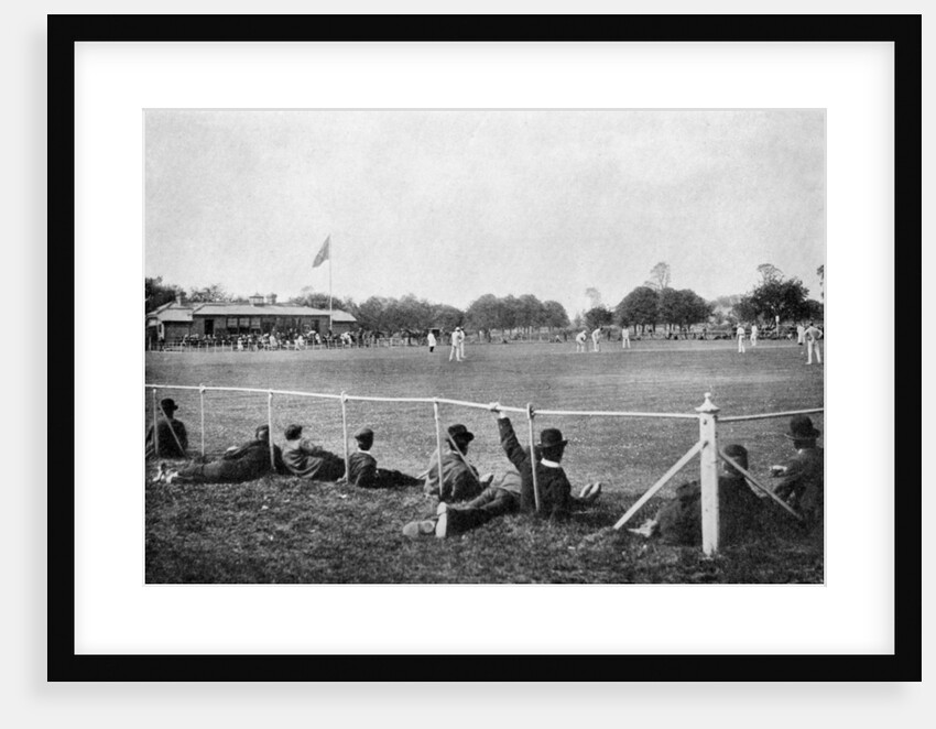 The Phoenix Park cricket ground, Dublin by D'Arcy